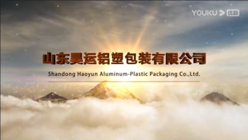 Shandong Haoyun Packaging Co., Ltd